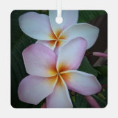 Ornement Carré Plumeria rose (Verso)