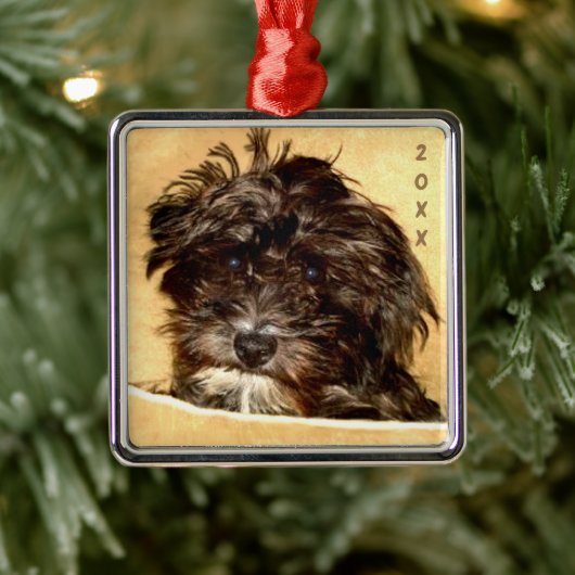 Ornement Carré Schnoodle Premium (Arbre)