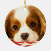 Ornement Cavalier King Charles Spaniel flocon de n (Dos)