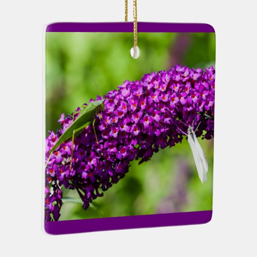 ornement céramique katydid énergie (Droite)