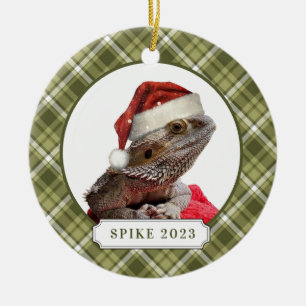 Ornement Cercle Cercle en céramique Dragon