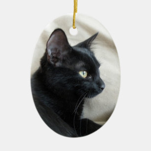 Ornement chaton noir