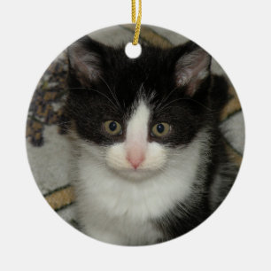 Ornement chaton smoking