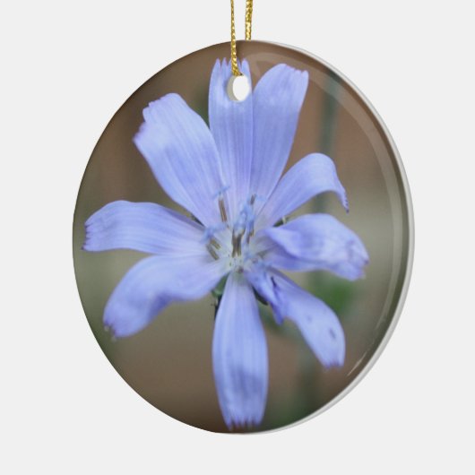 Ornement chicorne (Gauche)