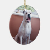 Ornement : Chien blanc de boxeur (Droite)