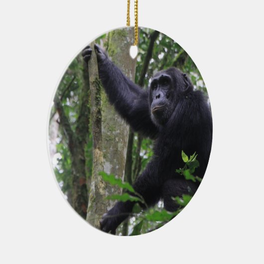 Ornement chimpanzé (Droite)