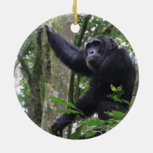 Ornement chimpanzé