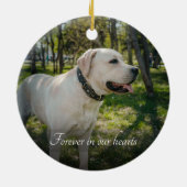 Ornement classique personnalisé Pet Memorial (Dos)