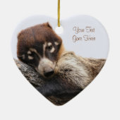 Ornement : Coatimundi #4 (Coeur) (Dos)