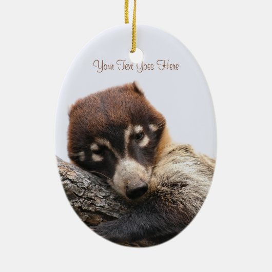 Ornement : Coatimundi #4 (Oval) (Dos)