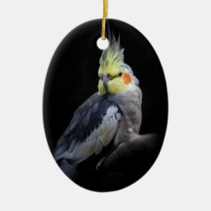 Ornement Cockatiel
