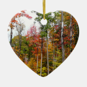 Ornement Cœur En Céramique Automne dans la forêt Colorée Photographie d'autom