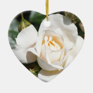 Ornement Cœur En Céramique belle fleur de rose blanche. amour et romance