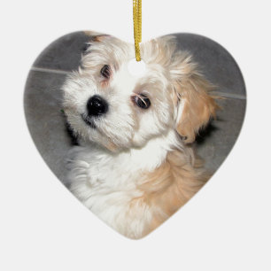 Ornement Cœur En Céramique Blanc bronzage de chiot de délivrance de Havanese