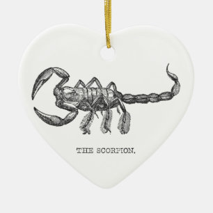 Ornement Cœur En Céramique Cadeau d'animal scorpion animaux effrayants