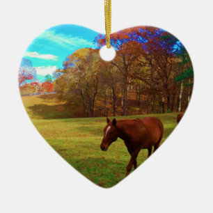 Ornement Cœur En Céramique Cheval Brown dans un champ de couleur arc-en-ciel