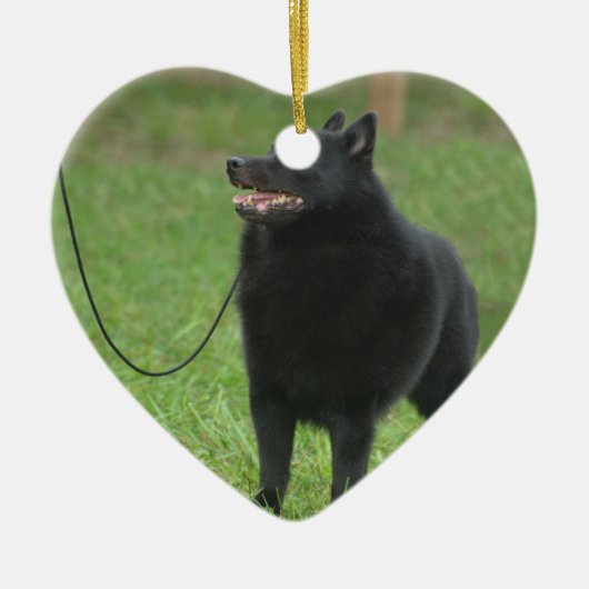 Ornement Cœur En Céramique Chien de Schipperke (Devant)