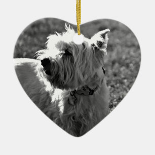 Ornement Cœur En Céramique Collection adorable de Westie Terrier