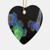 Ornement Cœur En Céramique Fibroblastes embryonnaires de souris (Gauche)