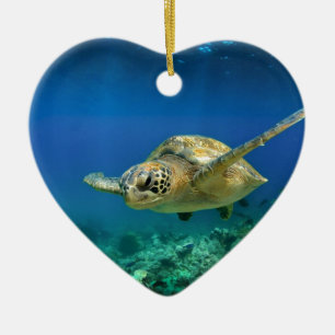 Ornement Cœur En Céramique Galapagos paradis de la tortue verte sous l'eau