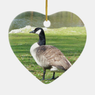 Ornement Cœur En Céramique Goose at the waterfront, Wildlife Animals, Nature