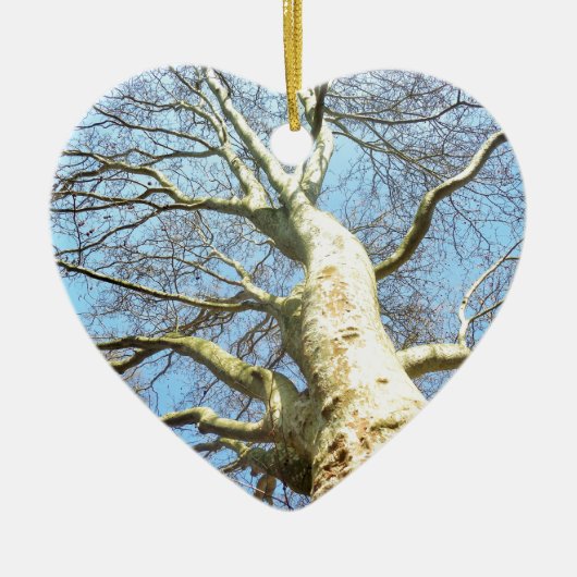 Ornement Cœur En Céramique Grandes Branches d'arbre ensoleillé dans Ciel bleu (Devant)
