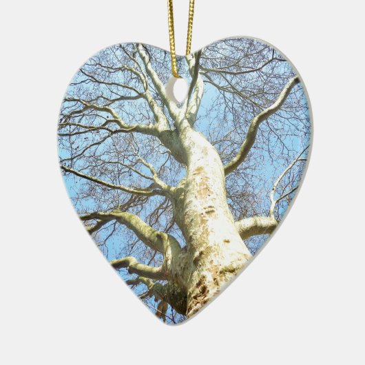 Ornement Cœur En Céramique Grandes Branches d'arbre ensoleillé dans Ciel bleu (Gauche)