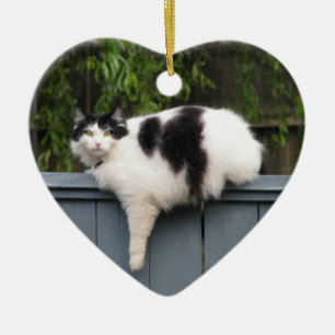 Ornement Cœur En Céramique Gros chat sur la barrière