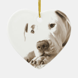 Ornement Cœur En Céramique pitbull blanc et somnolent acte de haine pas race