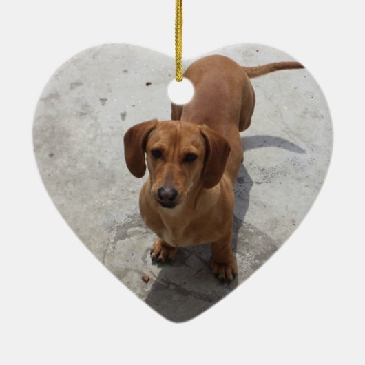 Ornement coloré de teckel (Dos)