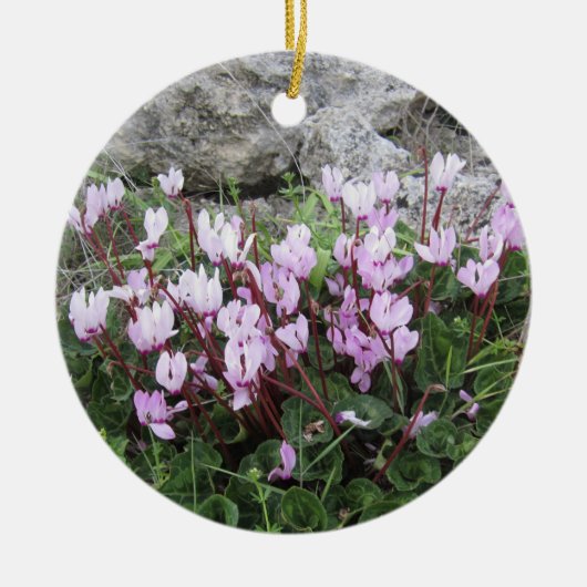 Ornement Cyclamen Sauvage (Devant)