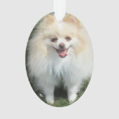 Ornement d'acrylique de Pomeranian (dos)