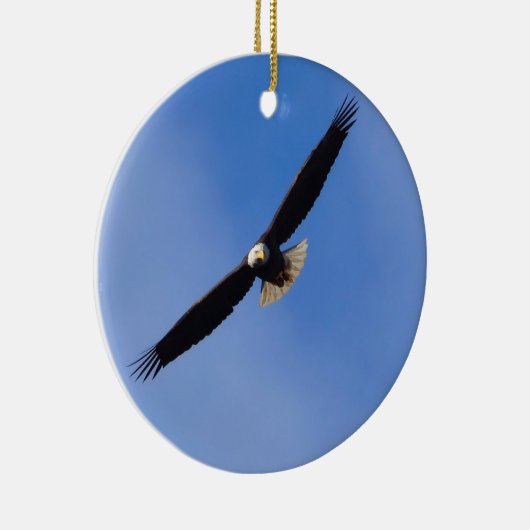 Ornement d'aigle chauve (Droite)