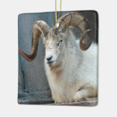 Ornement Dall Sheep (Gauche)