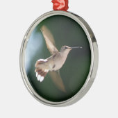 Ornement d'amant de colibri (Gauche)