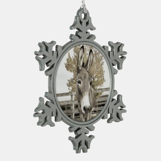 Ornement d'âne (Gauche)