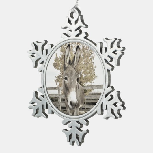 Ornement d'âne (Vue impression)