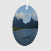 Ornement d'arbre de Noël (devant)