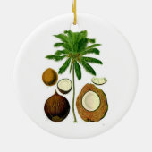 Ornement d'arbre de noix de coco (Dos)