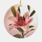 Ornement d'astronome (Dos)