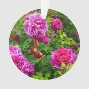 Ornement de #2-1 de princesse Anne Rose