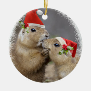 Ornement de baiser de Noël