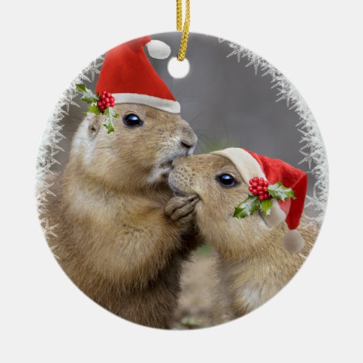 Ornement de baiser de Noël (Devant)