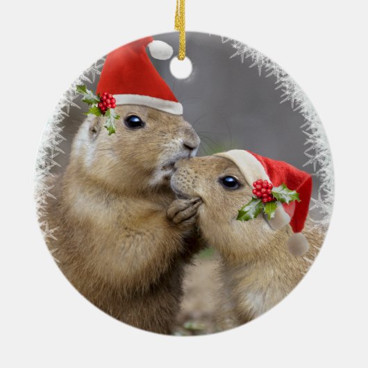 Ornement de baiser de Noël (Dos)