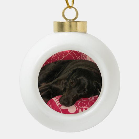 Ornement de balle de chien endormi (Devant)
