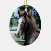 Ornement de bébé Morgan Horse (Droite)