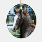 Ornement de bébé Morgan Horse (Gauche)