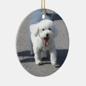 Ornement de Bichon Frise (Droite)