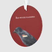 Ornement de Blackbird à ailes rouges (devant)