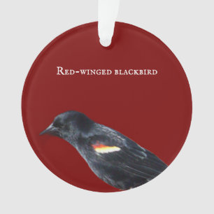 Ornement de Blackbird à ailes rouges